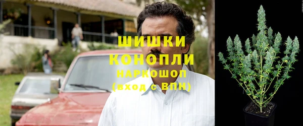 трава Гусиноозёрск