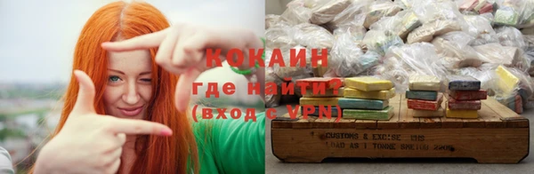 трава Гусиноозёрск