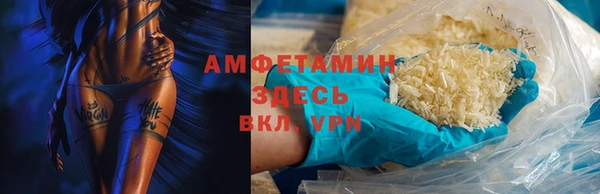трава Гусиноозёрск