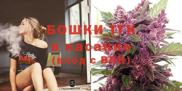 трава Гусиноозёрск