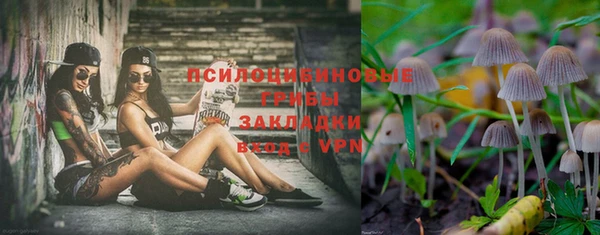 трава Гусиноозёрск