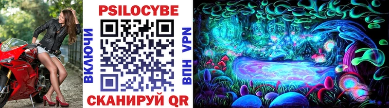 Галлюциногенные грибы Cubensis  Зима 