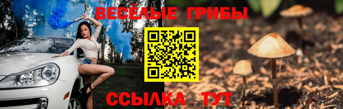 Галлюциногенные грибы Psilocybe  Псилоцибиновые грибы MAGIC MUSHROOMS  Зима 