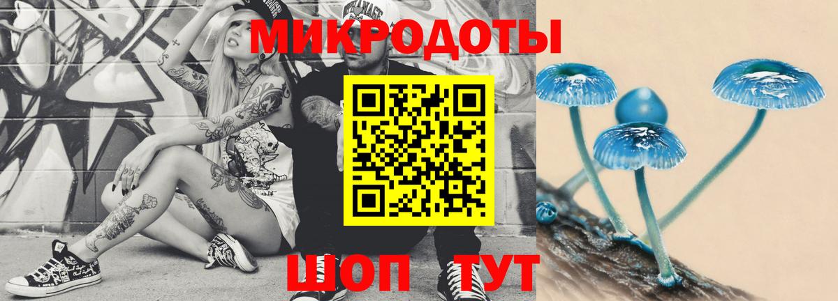 Псилоцибиновые грибы GOLDEN TEACHER Зима