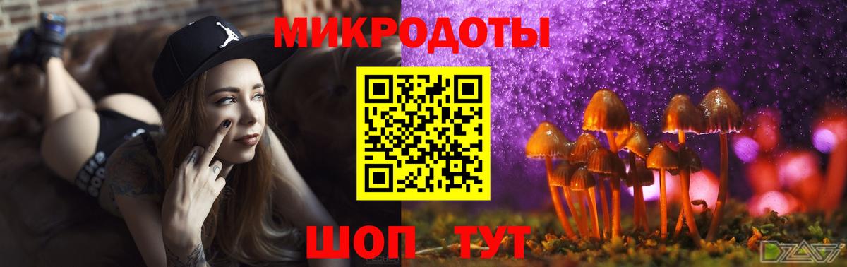 Зима  Галлюциногенные грибы Psilocybe  Галлюциногенные грибы мухоморы  Вход с VPN 