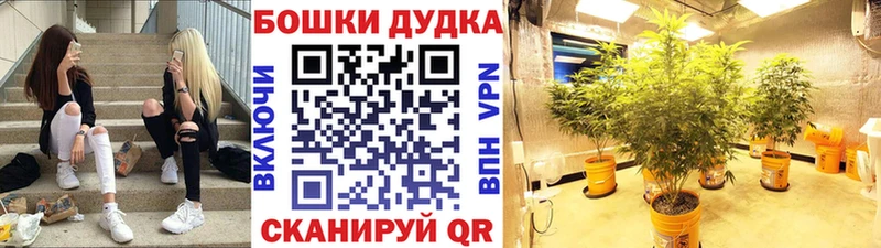 купить   KRAKEN как зайти  МАРИХУАНА VHQ  Зима 